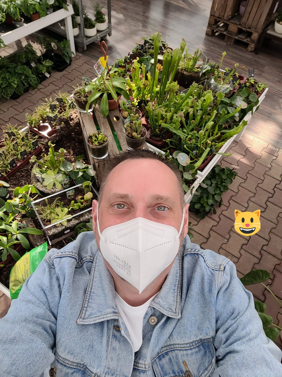 fred_mclaren's tweet photo. Karnivoren unter sich. #Gartencenter #Karnivoren #Dortmund #Deutschland #Germany https://t.co/kzm2cXZypH