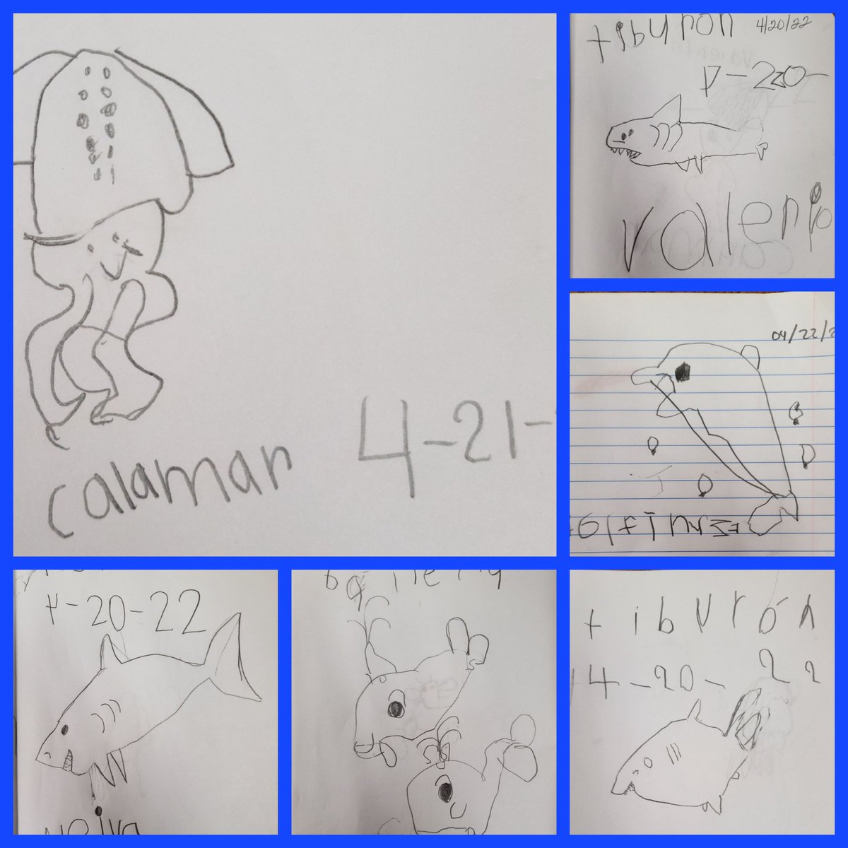 This week Ss learned about ocean animals.  Their questions led us to more learning but the most exciting for them was learning they could draw!!  #RISDPrek #RISDPoweroflove <a href="/DobiePKSchool/">Dobie Pre-Kindergarten School⭐️</a>