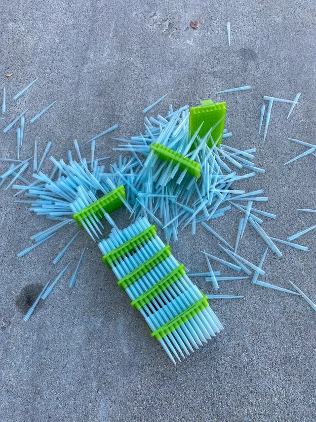 DNA&RNA Universe 𝕏 tweet media