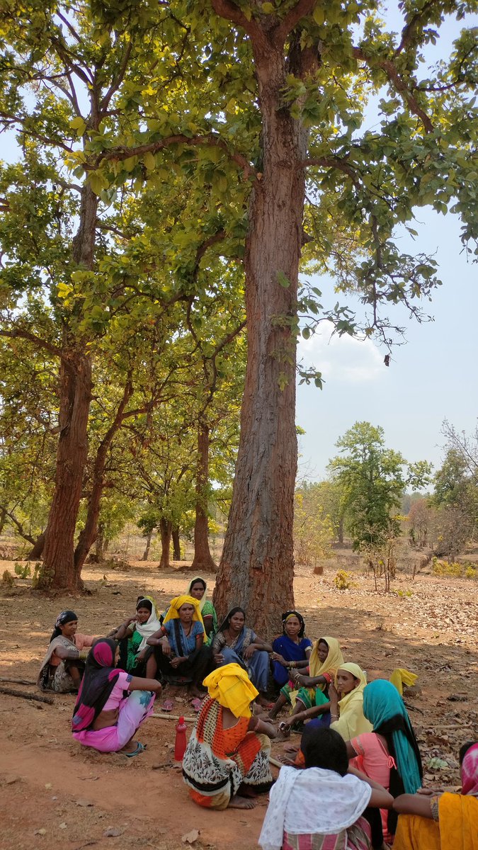 कुल्हाड़ी तो पेड़ों पर चल रही है इनका कत्ल हो रहा है,इसमें सिर्फ गांव का ही नहीं बल्कि हम सबका भविष्य और हमारा अस्तित्व भी धीरे -धीरे दम तोड़ रहा है पर हसदेव के आदिवासी लड़ रहे है, लगातार इन कुल्हाड़ियों को रोक रहे है। आप जल जंगल जमीन को बचाने के इस संघर्ष से जुड़िये
#SaveHasdeo