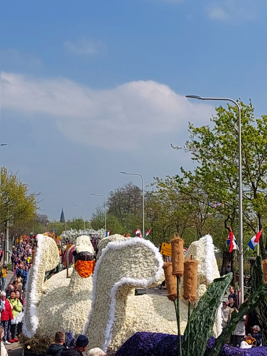We zijn nu in Sassenheim. En wat is het ook hier wederom gezellig druk. Het weer zit mee. Straks staan de wagens opgesteld bij de Bernardus.🌷
