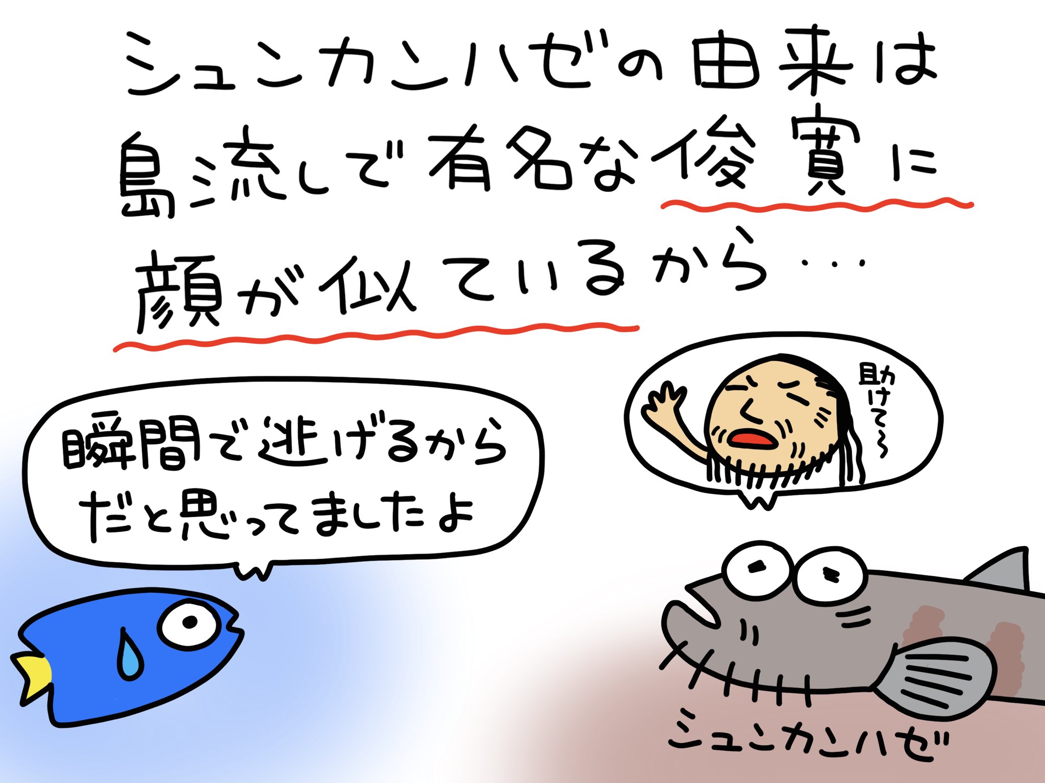 ふくちゃん 魚のイラスト Yawatano Twitter