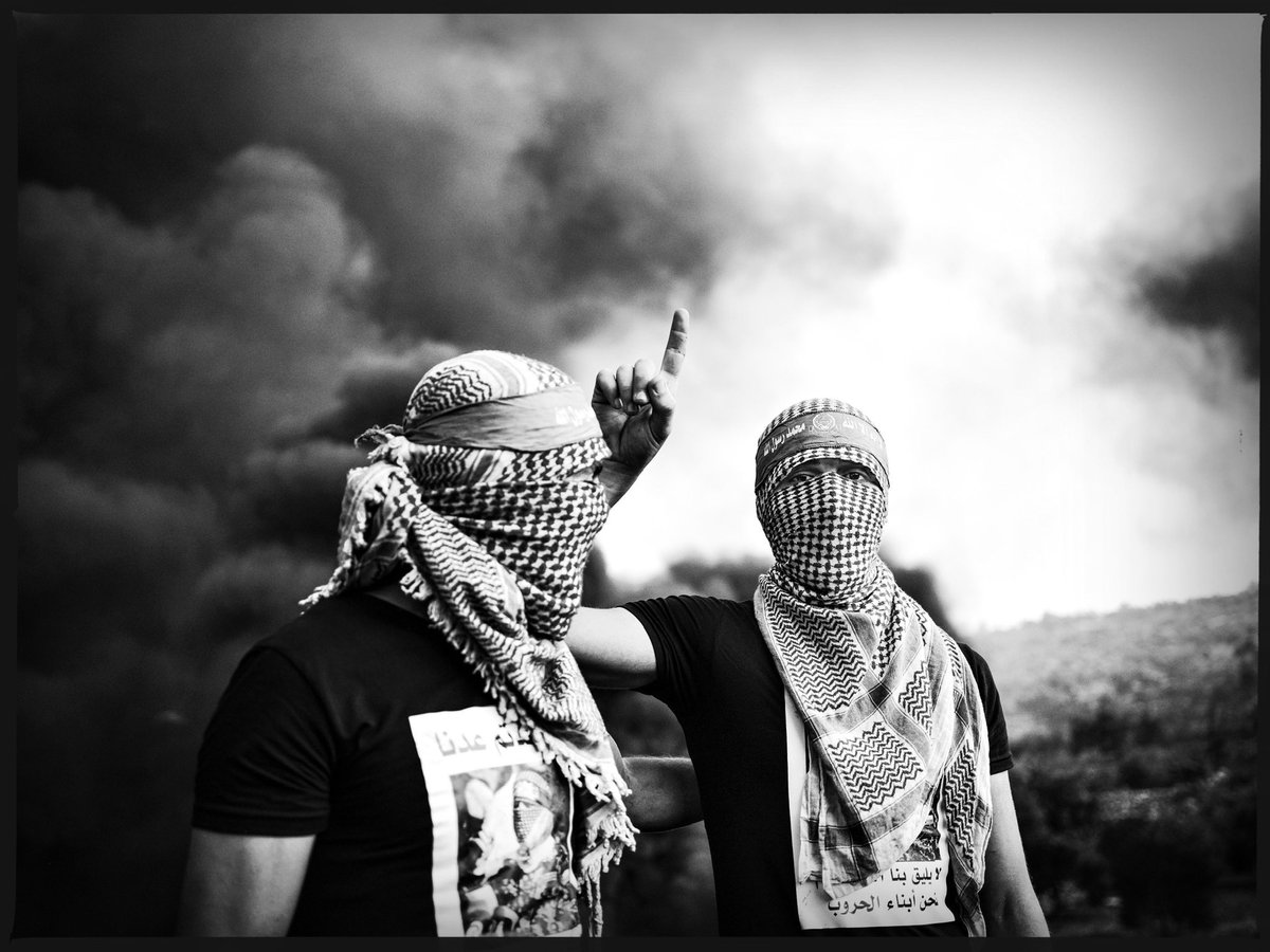 #FreePalestine 𓂆🇵🇸River to Sea tweet media