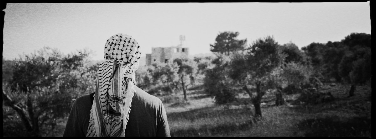 #FreePalestine 𓂆🇵🇸River to Sea tweet media