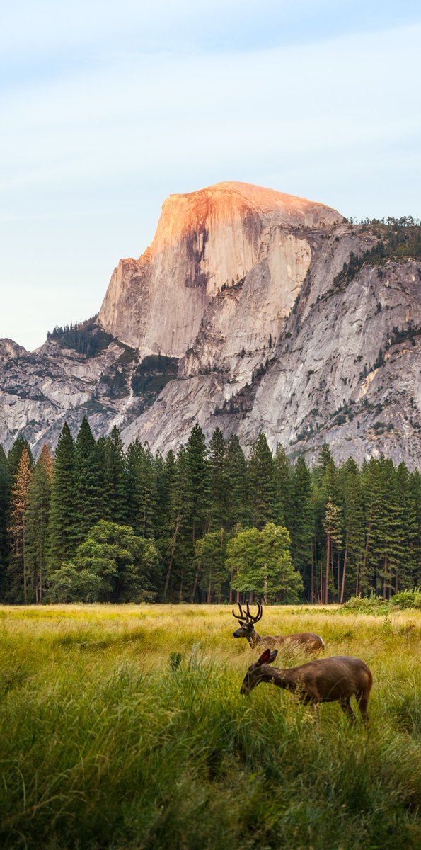 Snezana01508345's tweet image. #NaturePhotography