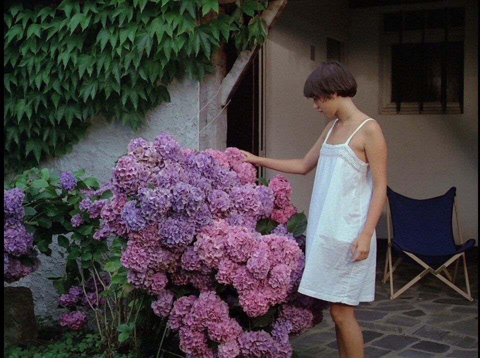 lecinema_'s tweet photo. Éric Rohmer - Flowers https://t.co/scCzwkmP6b