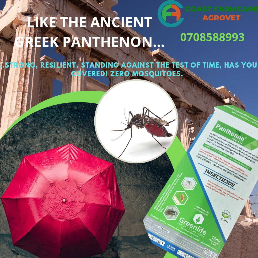 It's the rainy season once more, always an invitation for mosquitoes. Control their growth and spread with PANTHENON.