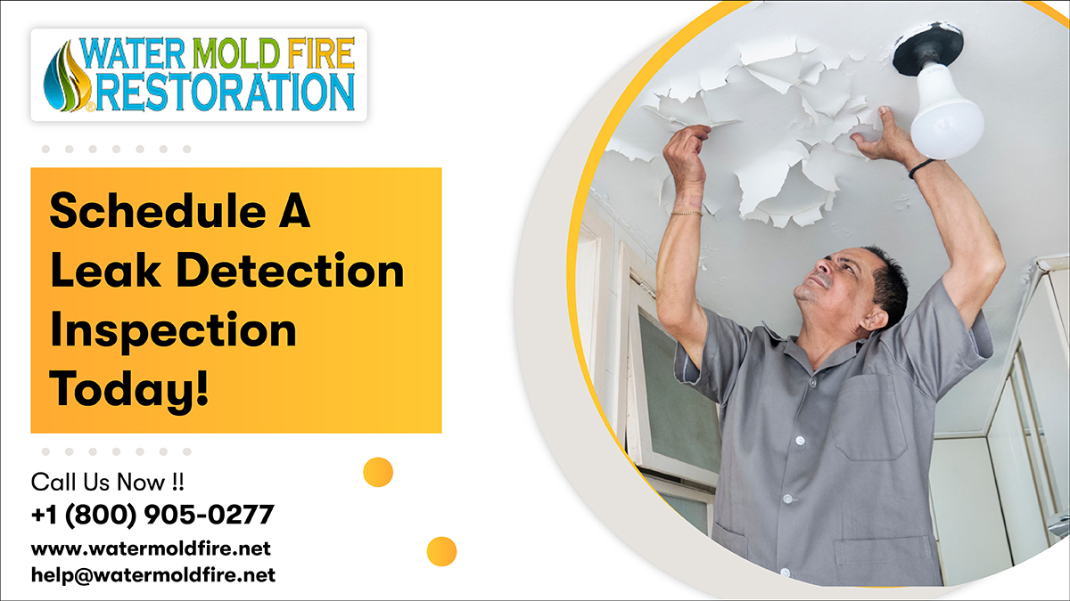 Do you need a water restoration company that can provide you with emergency water restoration services? 
Give us a call at 800 905 0277
Call:- 800-905-0277
Mail:- help@watermoldfire.net
Visit:- pos.li/2ia7vo
#waterleak #waterleakage #leakdetection #waterdamage