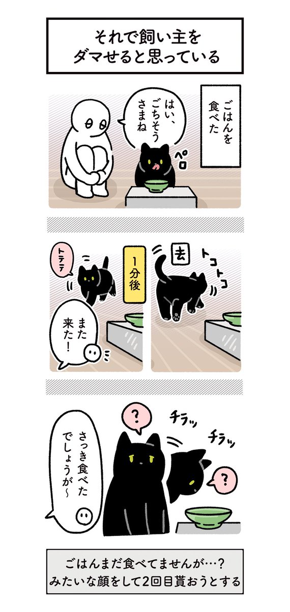 ねこ、都合のいいときだけ日本語を理解したり、都合よく過去の出来事を無かったことにしようとする…(かわいい)という絵日記 #ろんの絵日記 