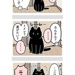 ご飯を食べたのにまだ食べていないかのように振舞ってみたり･･･!可愛すぎる飼い猫の行動を描いた漫画が話題に!