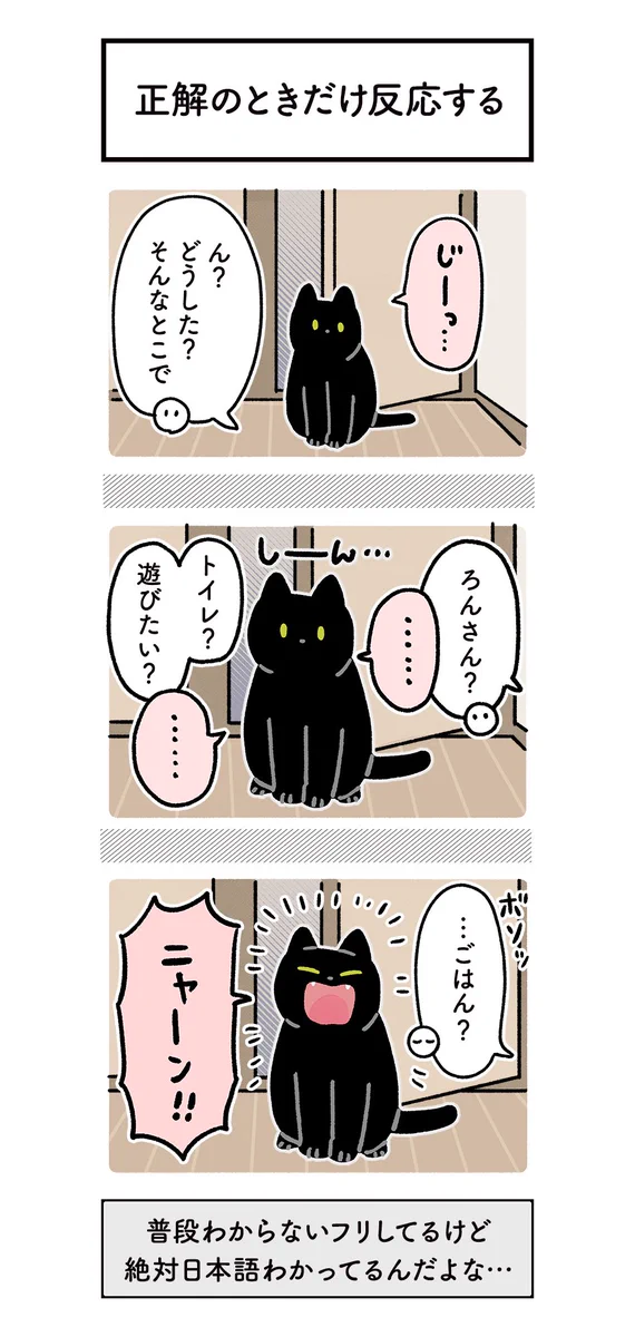 ご飯を食べたのにまだ食べていないかのように振舞ってみたり･･･！可愛すぎる飼い猫の行動を描いた漫画が話題に！