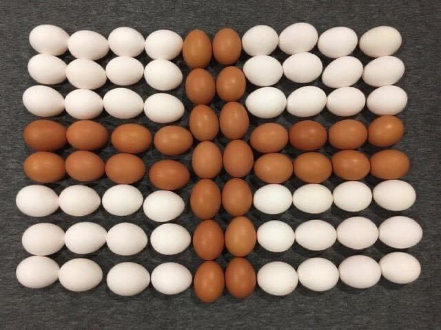 Happy St. George’s Day! 🏴󠁧󠁢󠁥󠁮󠁧󠁿

#StGeorgesDay #23rdApril #Berkshire #SayingItWithEggs #IncredibleEggs  #HappyStGeorgesDay #EggArt #WhiteEggs