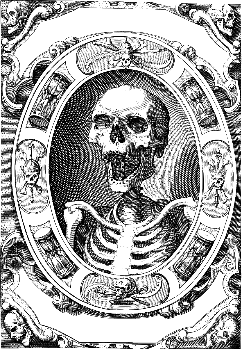 AntiFOMO tweet media