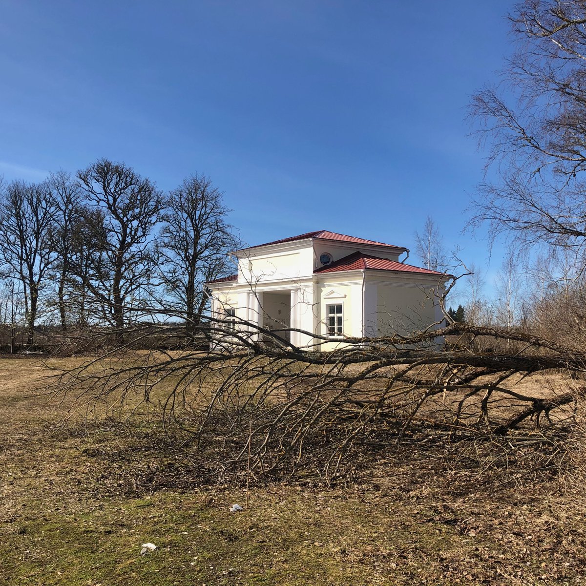 wechmuth's tweet photo. Spring has sprung with the snow (mostly) gone. Looks like it's time to dust off the chainsaw. 🌲🪓 

#springcleaning #nature #wechmuth #manor #park #tree https://t.co/aNuMQ3QcKJ
