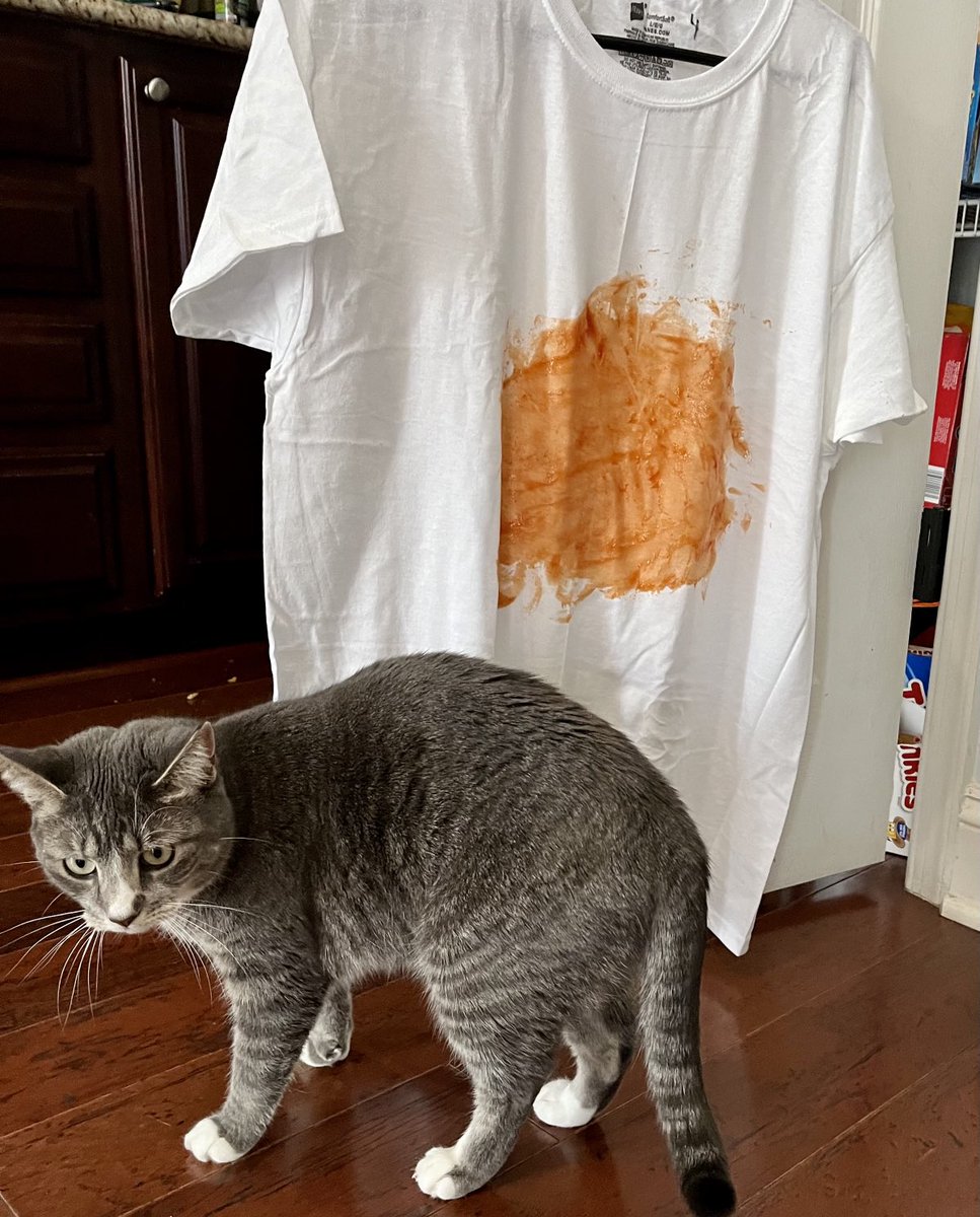 Gigi Gronvall tweet media