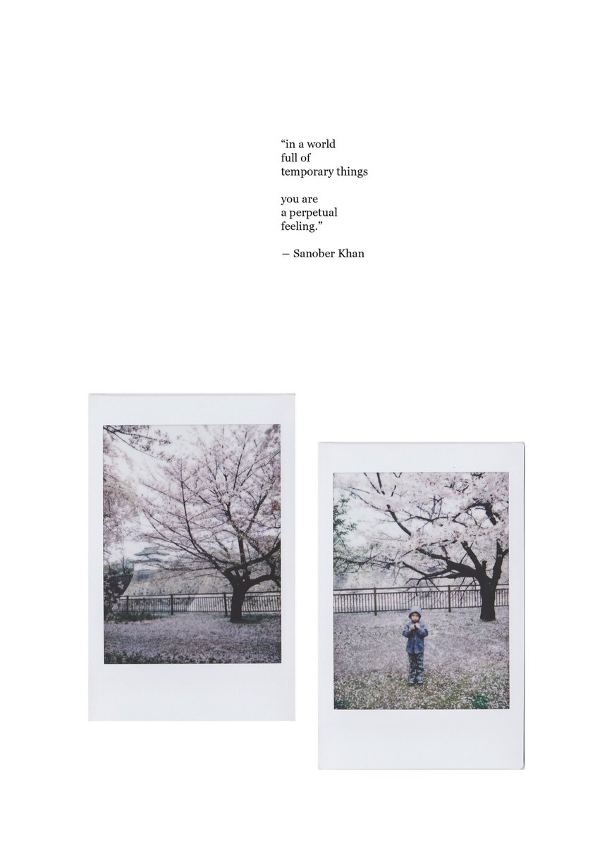 perpetual feeling ✨