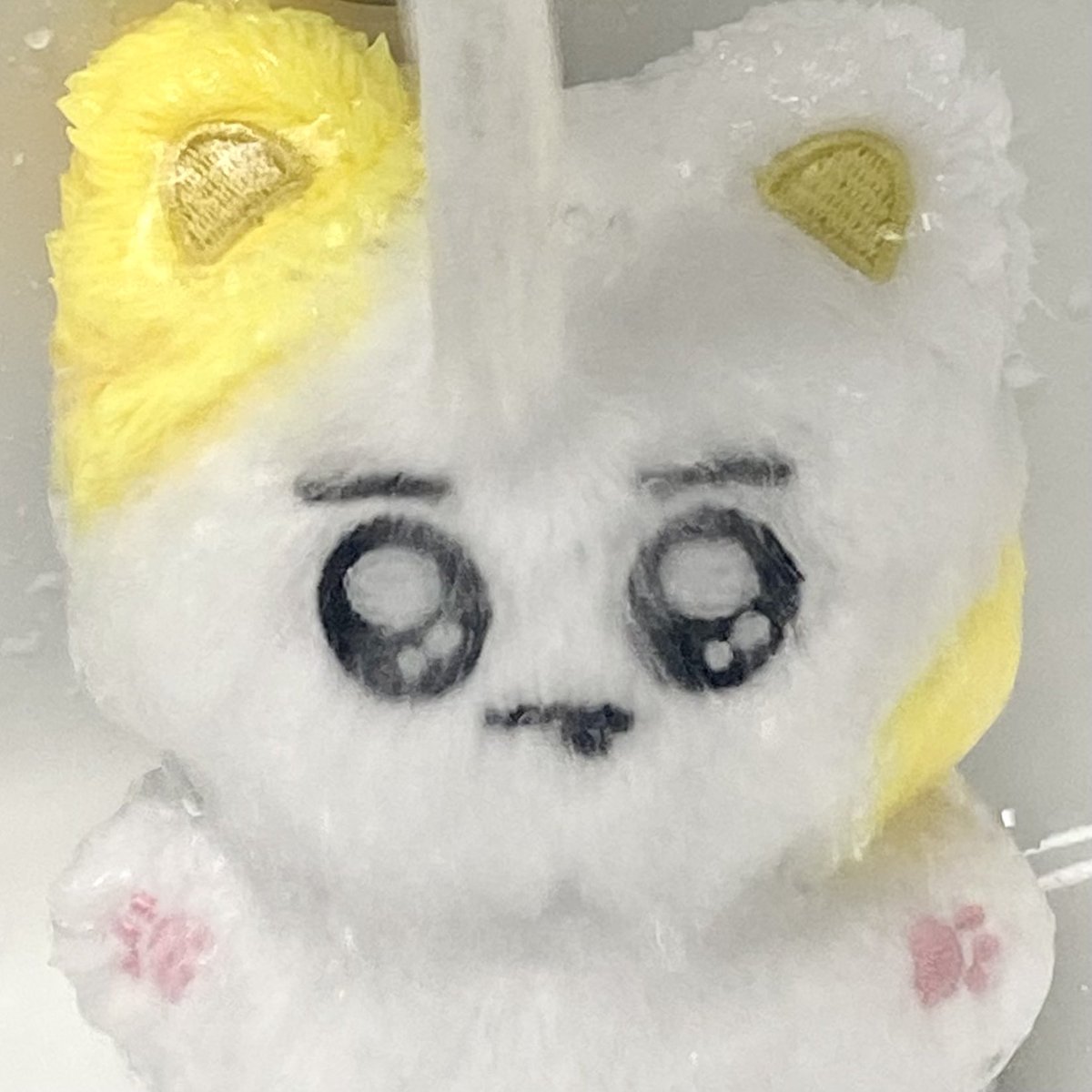 깡냥이 입양 오늘까지입니다!!
깡냥이 집사가 되고 싶으신 모아분들은 
서둘러주세용 💛😸