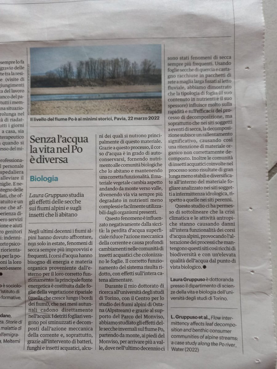 Laura Gruppuso tweet media