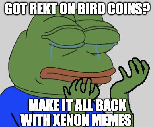 XenonProtocol's tweet photo. We are hosting our first meme contest for our Enjoyoors. To enter:
⁃ Like + RT this post 
⁃ Follow @XenonProtocol 
⁃ Submit your best memes in our discord: https://t.co/U80VkOp2Uo
⁃ The winner will receive $250 USDC!
Submit your entries by Monday 25th of April 9pm UTC $XEN https://t.co/a5qydmMrfI