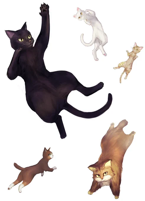 おはこんばんちは!

うちの嫁(CatCut2号)の描いた猫絵・第5回です!
なんというか嫁の画力に乾杯!つーか、完敗です。
また描いてくれるかな?くれたらいいな。
また描いて欲しいと思った方はRTよろしくです!
僕もRTします(><; 