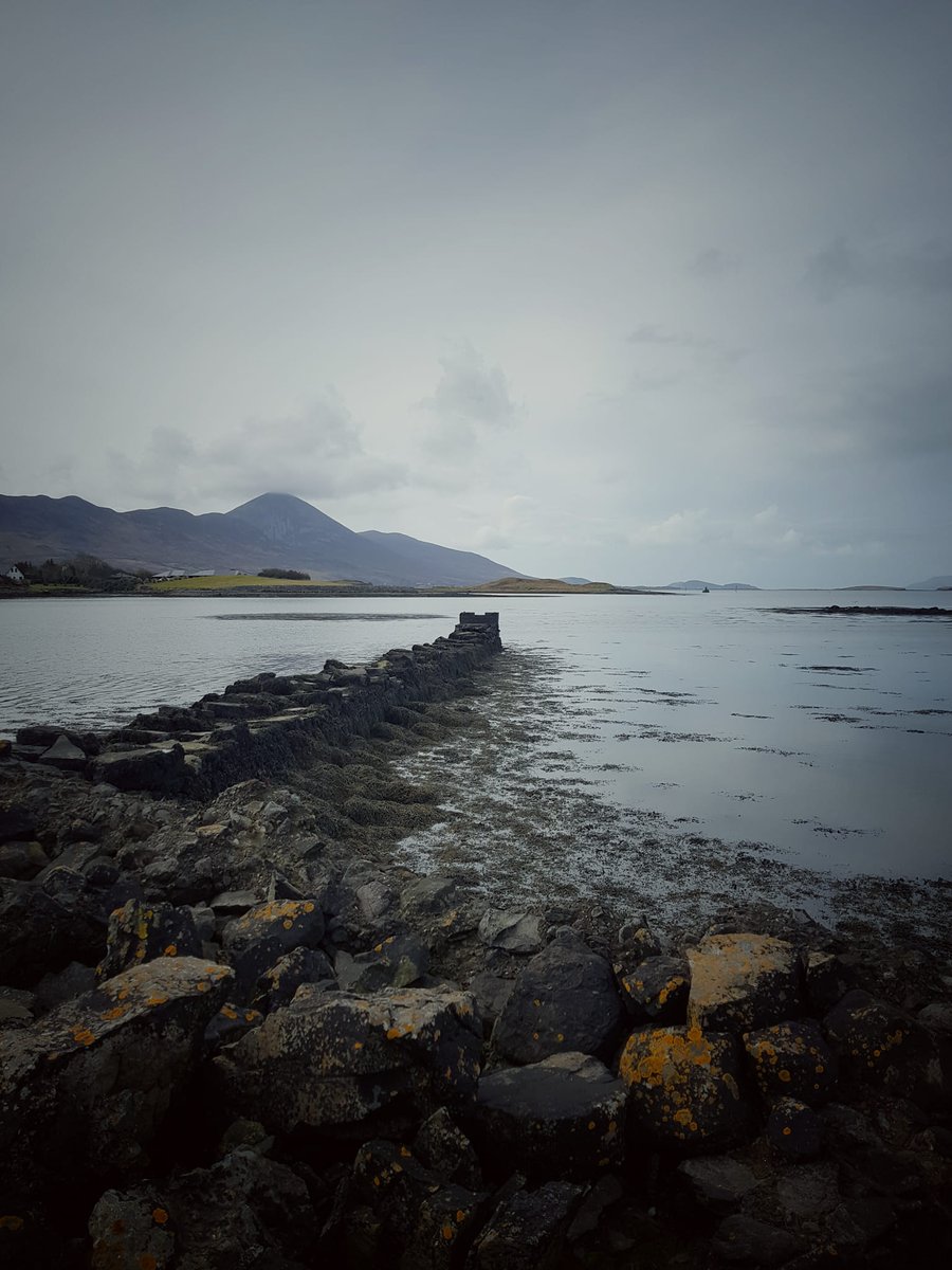 Matthew Laming tweet media