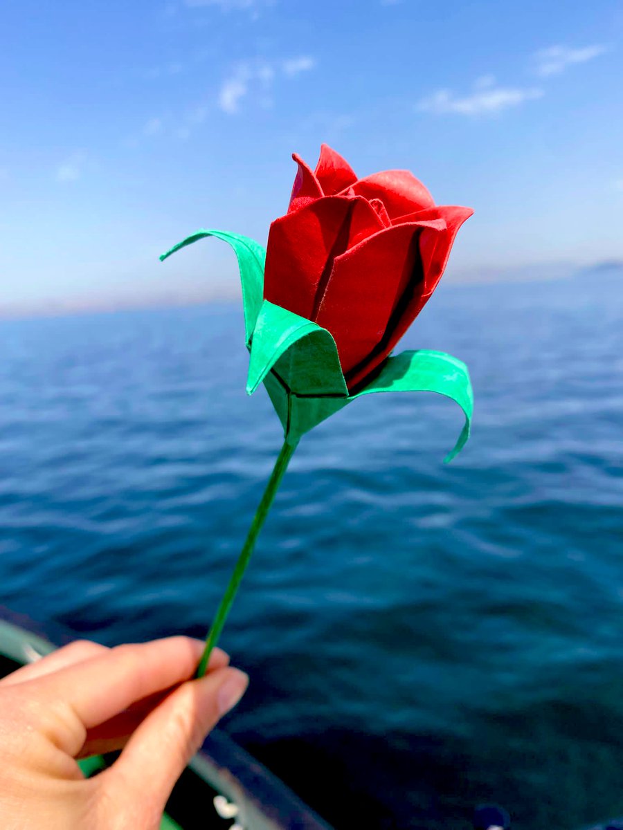 Oscar Camps tweet media