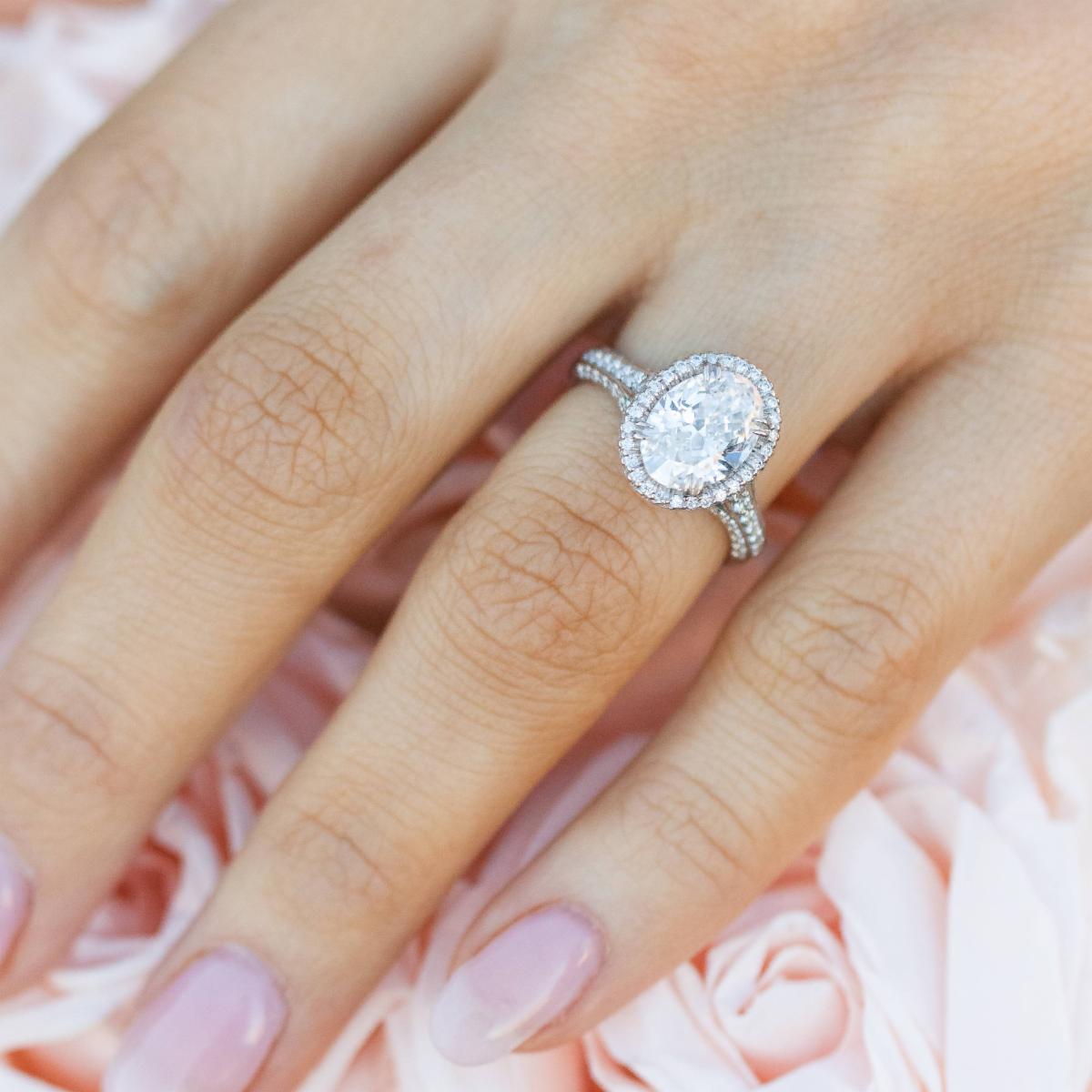 rafiuzi's tweet photo. #propose #Surprise #Gift #wedding #Spring #Season #diamonds #DiamondsRforever #Diamondareforever #Diamond #Brilliantcut #shape #Diamonds #Hallo #Engagement #Ring #Ladies #Ladieswear #forHer https://t.co/0rgR2qjrsX