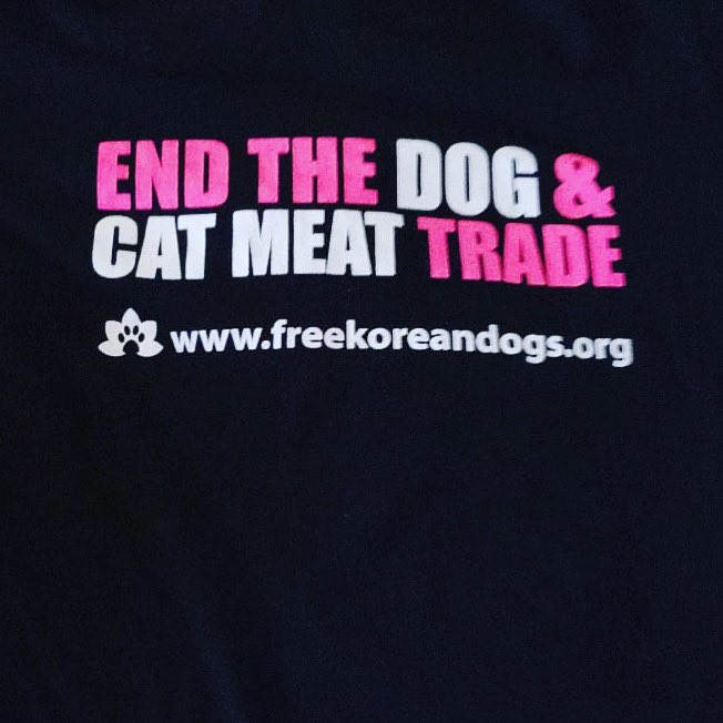 Sean Nolin tweet media