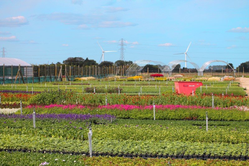 Don't Delay - Order Today - Gedney Bank Holiday availability - mailchi.mp/gedneybulb/jnc…

The sun is shining and orders are coming in thick and fast - Don't miss out by ordering late!

Amazing range and still only 1 Trolley minimum for free delivery