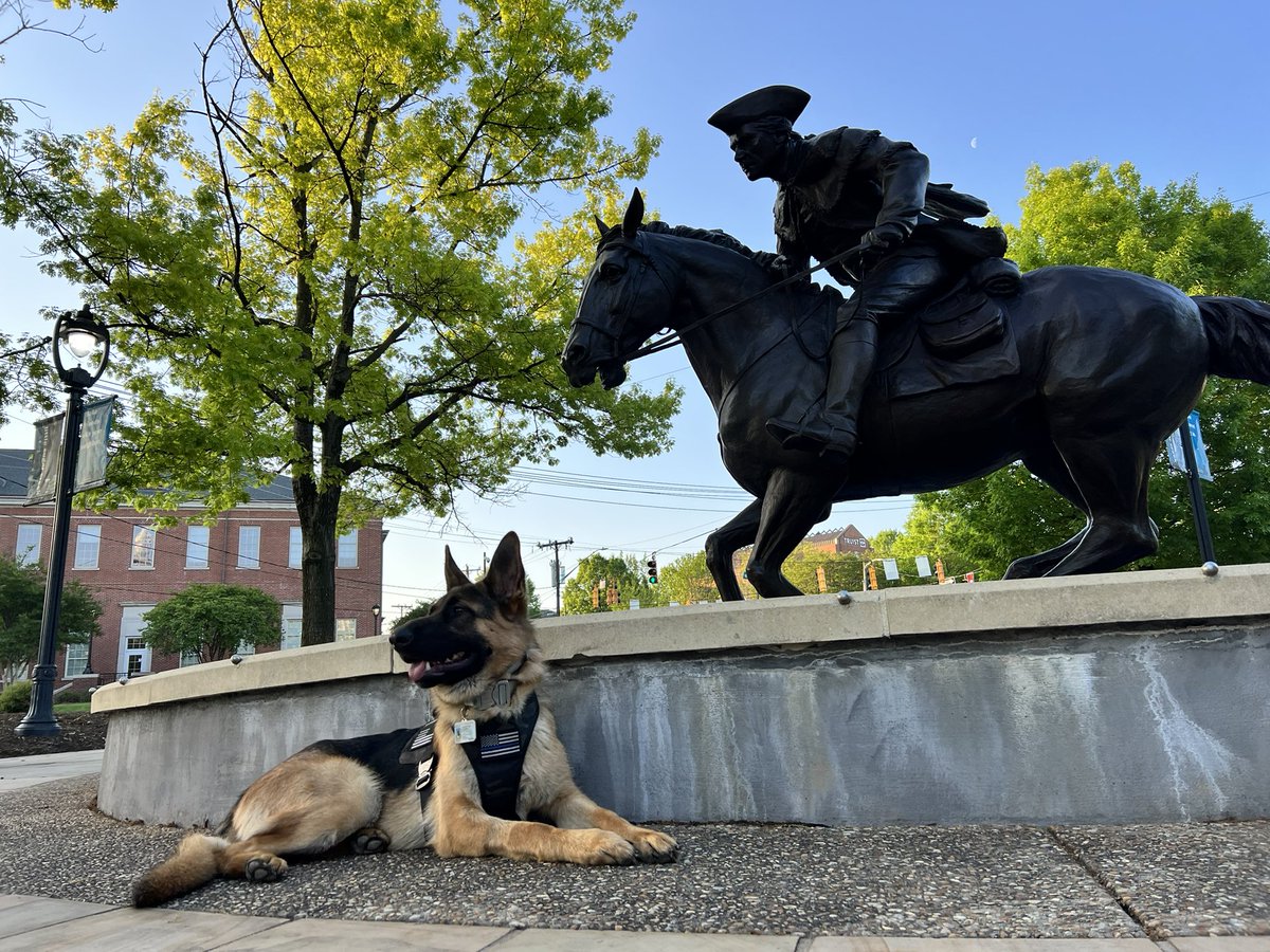 F3: Razorback tweet media