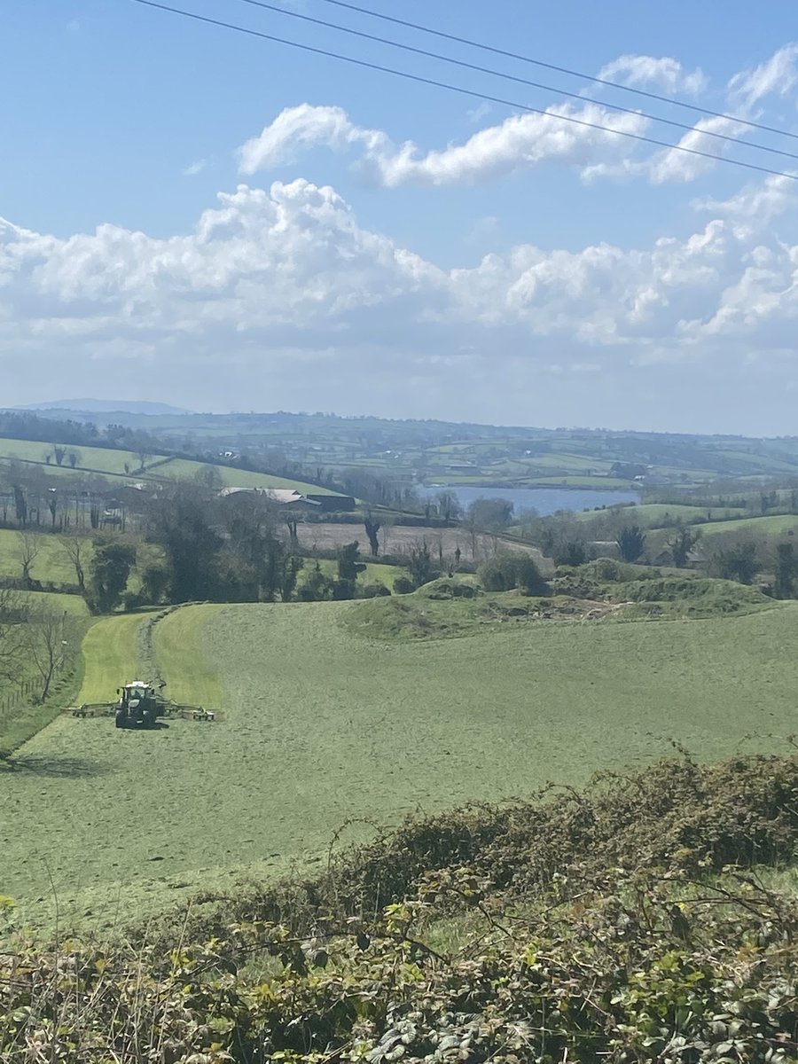 A great day for the start off forage 22