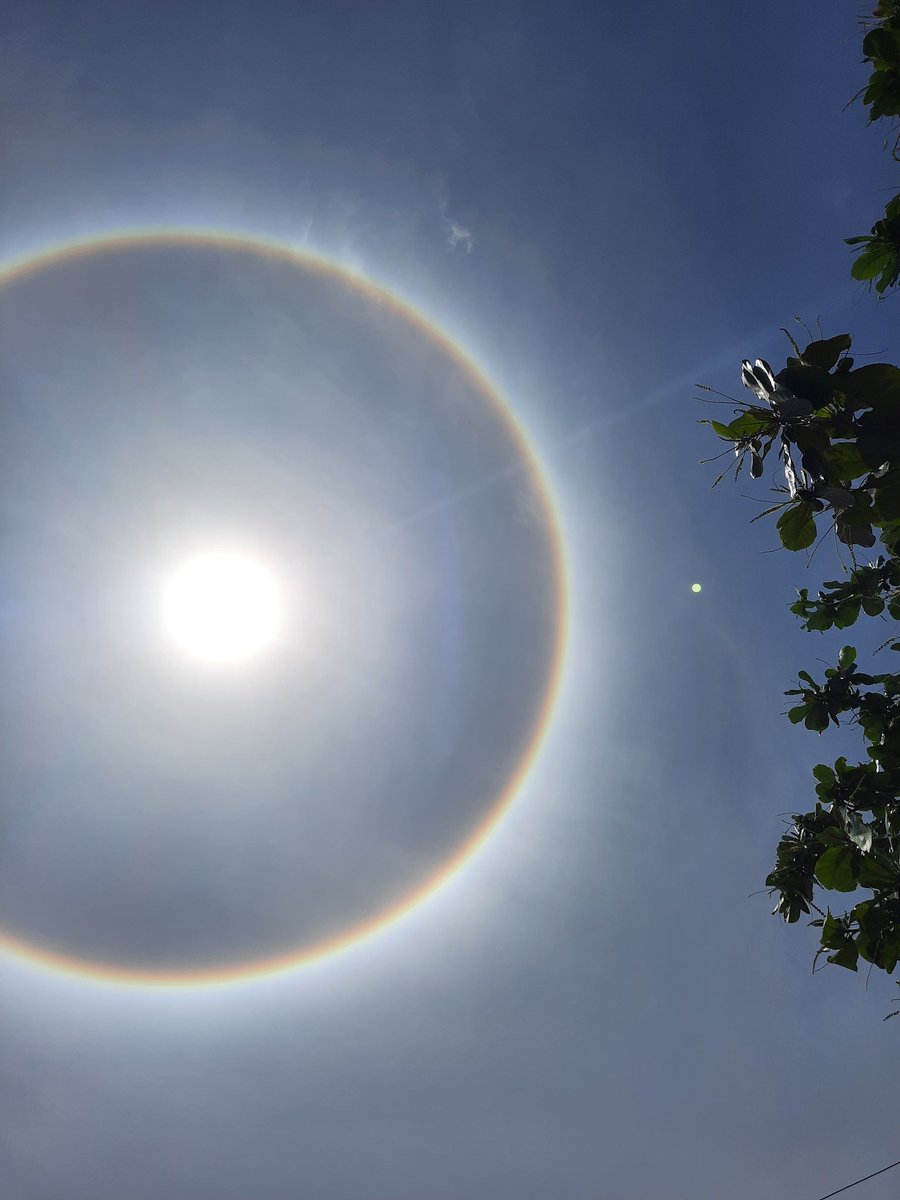 Un "halo solaire"  est un phénomène optique qui apparaît lorsque les rayons de soleil traversent des nuages de haute altitude formés de cristaux de glace. Il n'est pas fréquent, et donc très surprenant !
#TTA