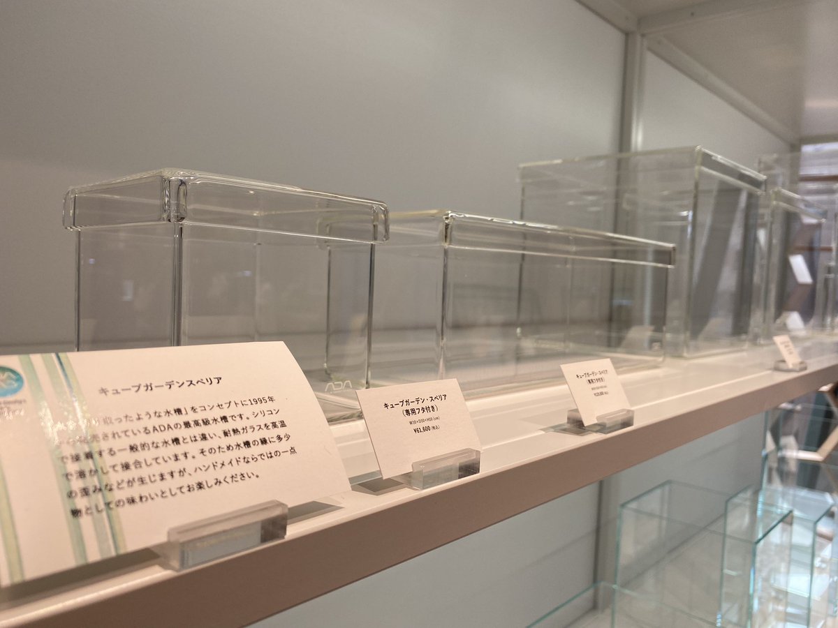 טוויטר アクアテイク E アクアテイクイー 熱帯魚専門店 בטוויטר 店内は大きく分けて3つのベースに分けられています それぞれ簡単にご紹介いたします T Co Pdwa0vrckd