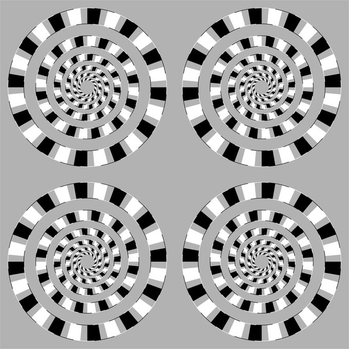 Gonzalo de Polavieja (@depolavieja) on Twitter photo Look at these spirals. Look again. They are not spirals, they are circles. From <a href="/AkiyoshiKitaoka/">Akiyoshi Kitaoka</a> Look at these spirals. Look again. They are not spirals, they are circles. From <a href="/AkiyoshiKitaoka/">Akiyoshi Kitaoka</a>