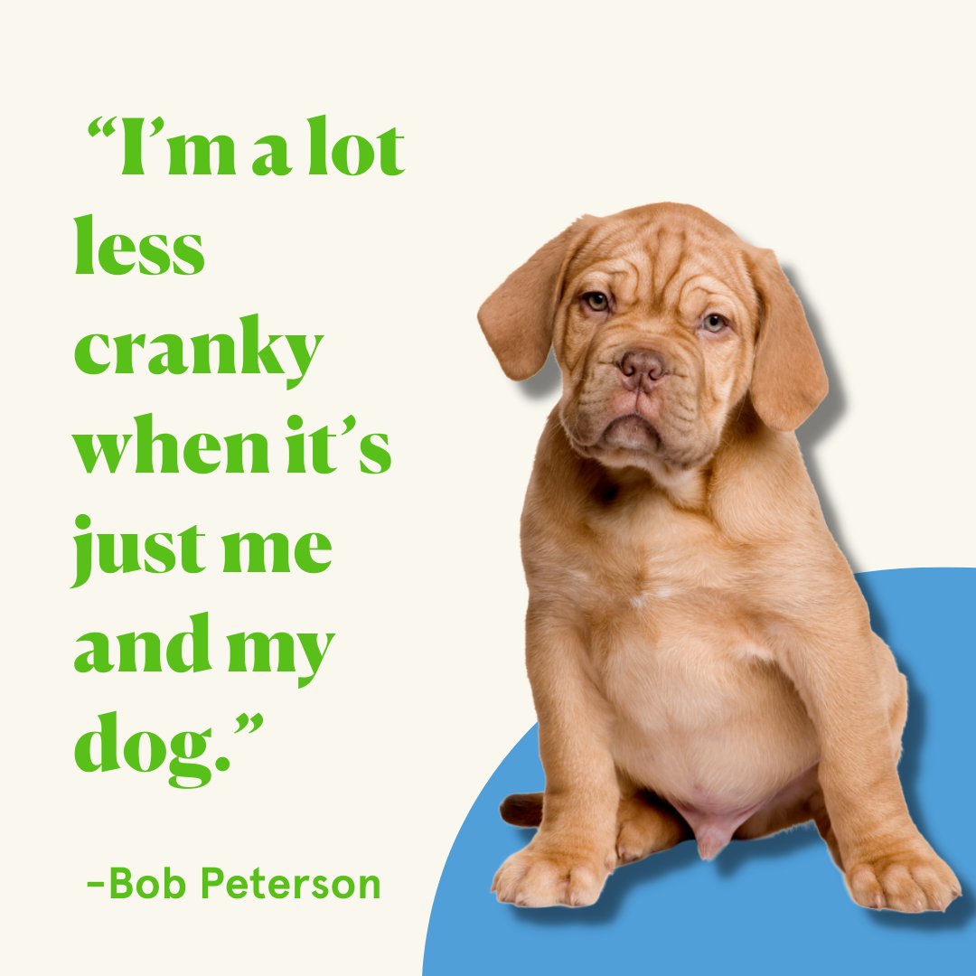 CleanBowlClub's tweet image. #dogquotes #cleanbowlclubnyc
#doghealth #petwellness #pethealthcare #petnutrition