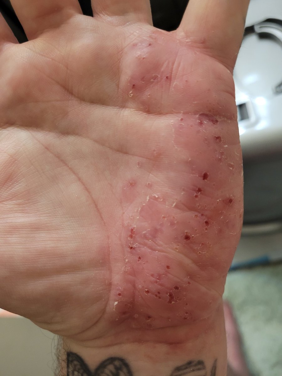 some pig tweet media