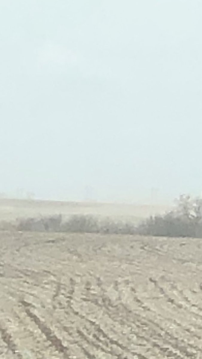 thegraingrower's tweet photo. Planters have been rolling all week around here and when it breaks the crust, this 40-50mph wind we have every damn day is really moving the dirt. #Plant22 we are so screwed
#ExerciseInFutility https://t.co/2djeflbuXr