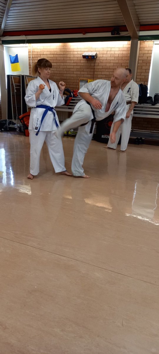 PSKyokushin's tweet photo. Today Shihan Alwyn Heath 7th Dan and Sensei Garry Haines 3rd Dan held a fighting seminar with  emphasis on correct technique, body conditioning and kicking and punching drills. Everyone worked hard both mentally and physically #kyokushinkarate https://t.co/Elb06fmayW