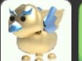 nuz396's tweet photo. Looking for other legendary please #Adoptmetrades #adoptmetradings https://t.co/h9NISfdEqt