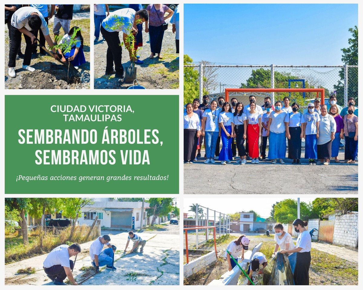 WeAreLight_LLDM's tweet photo. En #CiudadVictoria, se llevo a cabo actividades de reforestación por parte de jóvenes.
En el #DiaDeLaTierra, donde también se llevo a cabo una jornada de limpieza en un parque y de la misma manera plantaron árboles.
Con el lema: ¡Cuidemos nuestro planeta!
 #AmoMiPlaneta https://t.co/hN6tYVLYlS