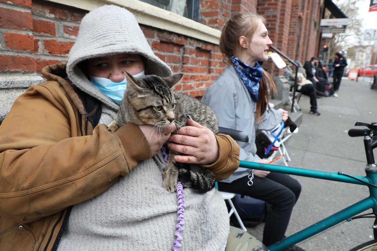 RealChangeNews's tweet photo. Real Change hosted the Seattle Veterinary Outreach Clinic, @PeoplePetsLove, last week. Check out our furry friends here! Photos courtesy of Arts Editor @typographically. #pets #petsofinstagram #realchangenews #realchangenewsseattle https://t.co/akEuXT5VWu