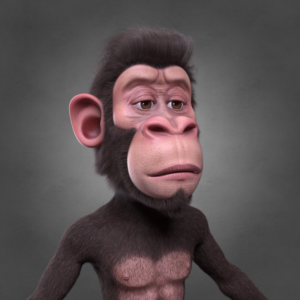 Exzor 🎒⛱ (@exzor0007) on Twitter photo <a href="/SpaceXApes/">SPACE❌APES</a> floor getting swept! More to come with that marketing I mean look at the art of their 3D apes without any traits. This is the dopest 3D ape I’ve seen on Solana. If you’re reading this then we’re very early. Join their discord and check them out. Gen 1 on ME! <a href="/SpaceXApes/">SPACE❌APES</a> floor getting swept! More to come with that marketing I mean look at the art of their 3D apes without any traits. This is the dopest 3D ape I’ve seen on Solana. If you’re reading this then we’re very early. Join their discord and check them out. Gen 1 on ME!
