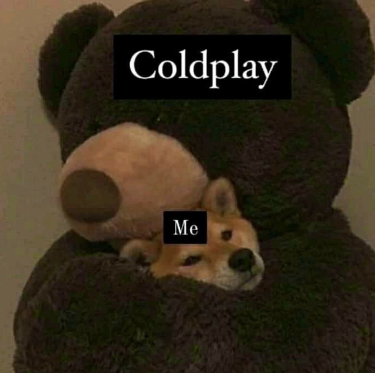 lapaoooh's tweet photo. #EcuadorNeedsColdplay Make it possible! #ColdplayEcuador I believe! @coldplay @coldplay_es
#MusicOfTheSpheresWorldTour 🌌🪐 https://t.co/7K2RbLasyM