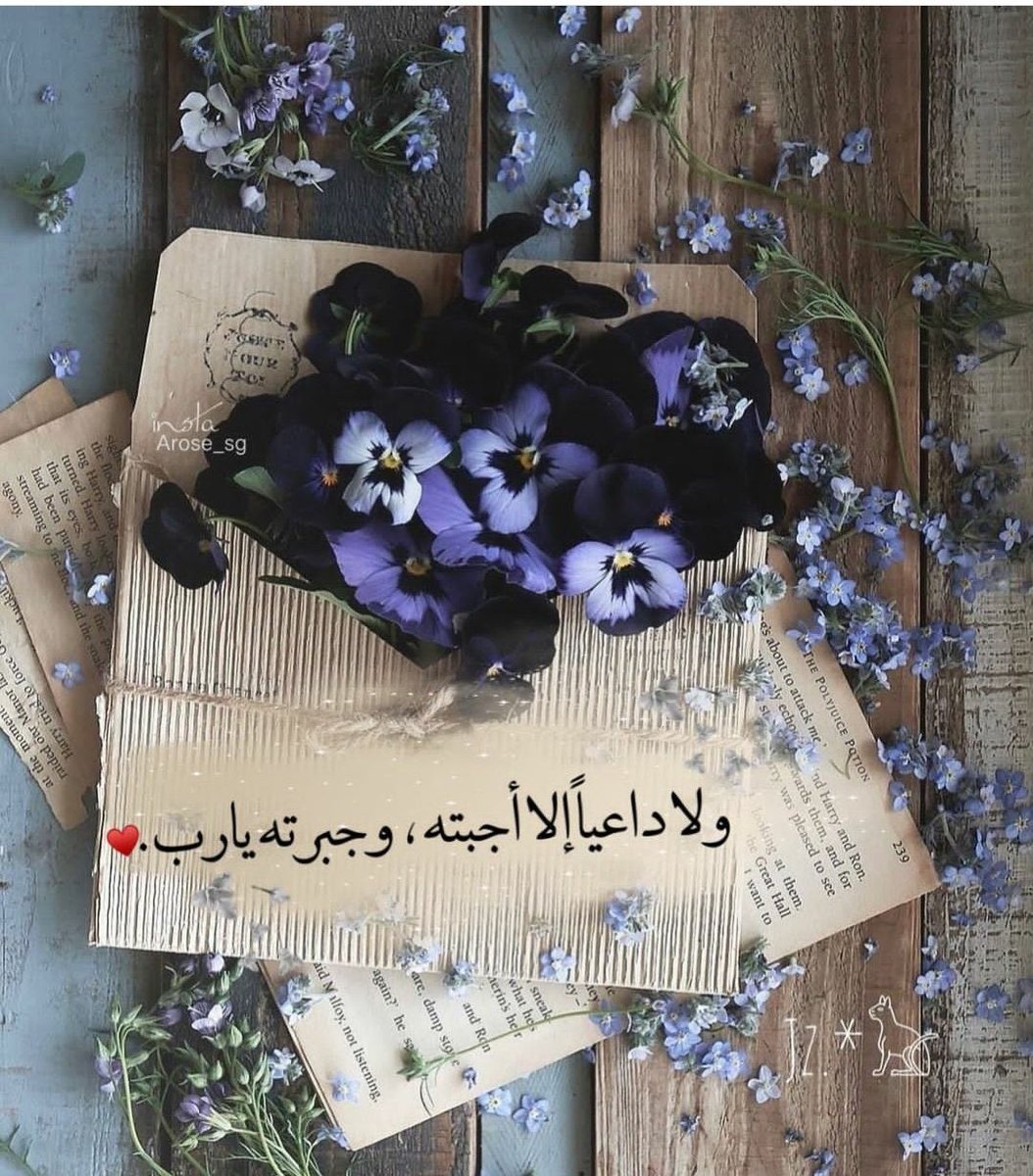 Green6765438's tweet photo. #النفط_تثبيت_اجور_192  هل رأيت الجبال ؟ 
إن الله ينسف شموخها بغمضة عين .. فما بالك بهمك الصغير !
سيدبرها الله .. فلا تقلق ..
وإذا شاء الأمر وتعقد؛ فلطف الله ممتد ..
كل الدروب إلى الله مزهرة ..
الأيام الحالكة لا تدوم، وأقدار الله نافذة، وقلوبنا راضية، والاطمئنان باقٍ https://t.co/PBlNUXN95M