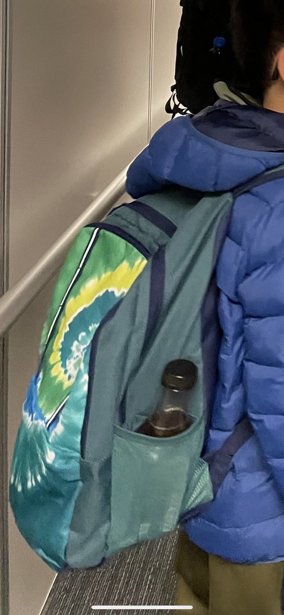 tracypoon's tweet photo. @SFCarBreakins the criminal ! Have you seen these bags ? We lost a grey Mac laptop. https://t.co/ByftTpttuZ