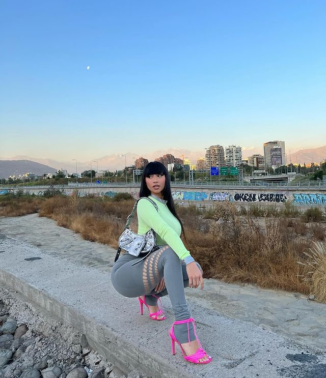 wollsme's tweet photo. Que vergüenza ver como la mayoría de artistas chilenos que atacan a la paloma son HOMBRES, no se espera nada de ellos y siguen decepcionando...

Paloma mami queen of chile, te amo reina 💗 https://t.co/0FZJDGTaaX