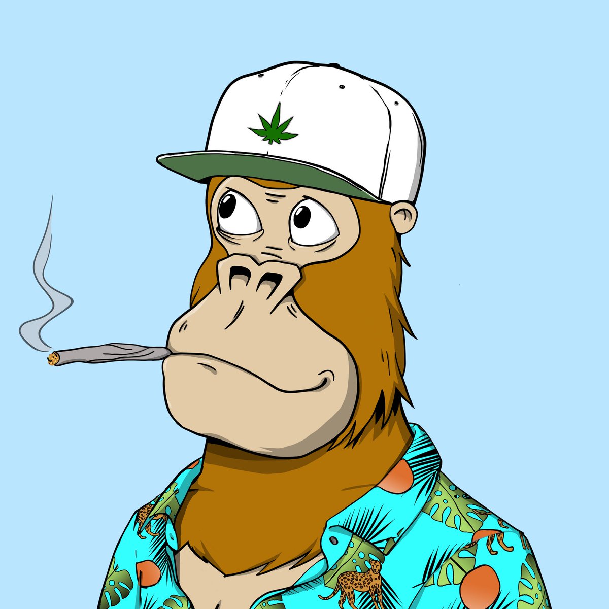 Chilled Kongs tweet media