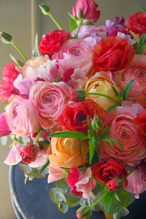 r95731's tweet image. ꧁#SPRINTTEAM 🌹💃💃꧂

@AlexiaAnnuk
@MarthaCandia21
☆°•▪︎☆ ▪°•☆
@swydersk
@MarianLuque4
@moni_dollnature
🌸🌿🌸⁀⋱ ⋰⁀🌸🌿🌸 
@naturedoll_moni
@Jemaco40
@MARTHAA91710793
@GRAHAM15583070
@SergioA60798547
@ManishP24604101
@sitaravirgo
@r95731
@WALLI27
@IsoaG
@Iva_LaRosa