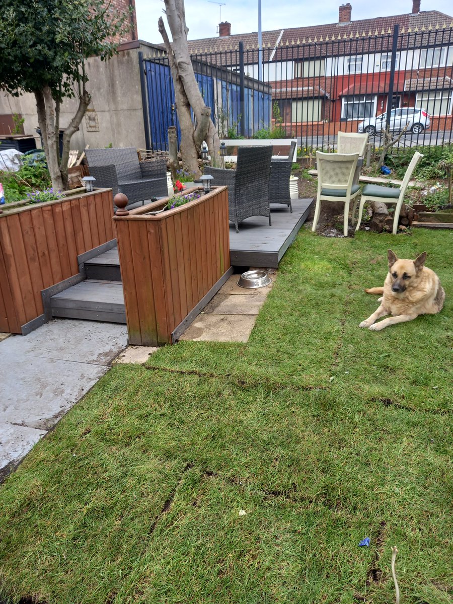 chrisba75681995's tweet photo. A little more done today in langworthy community garden https://t.co/xZtv845e4E