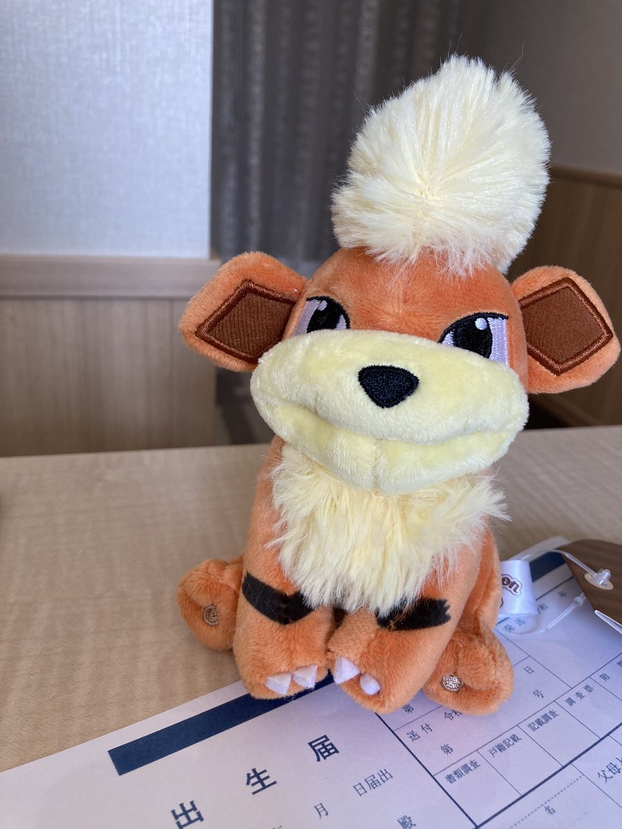 keyskooo's tweet photo. これは把握反射
そして出生届
そして帰宅後の旦那氏からのサプライズ😊 https://t.co/WaFDLJFOQS